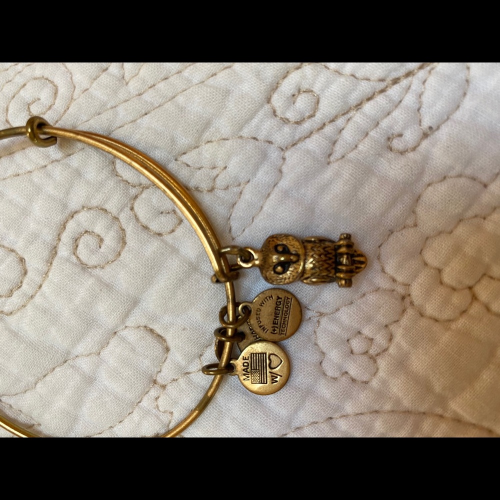 ALEX AND ANI Gold Tone Wise Owl Charm Bracelet